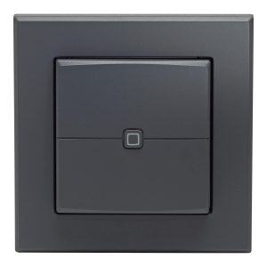 Homematic IP Wandtaster 2-fach Anthrazit