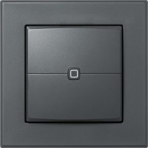 Homematic IP Wired Smart Home Wired Wandtaster 2-fach, Anthrazit