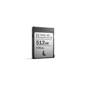 Lexar SDXC-Karte Professional 2000x GOLD Series 256 GB